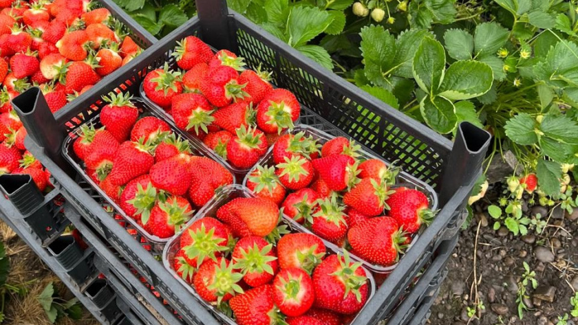    Фото редакции