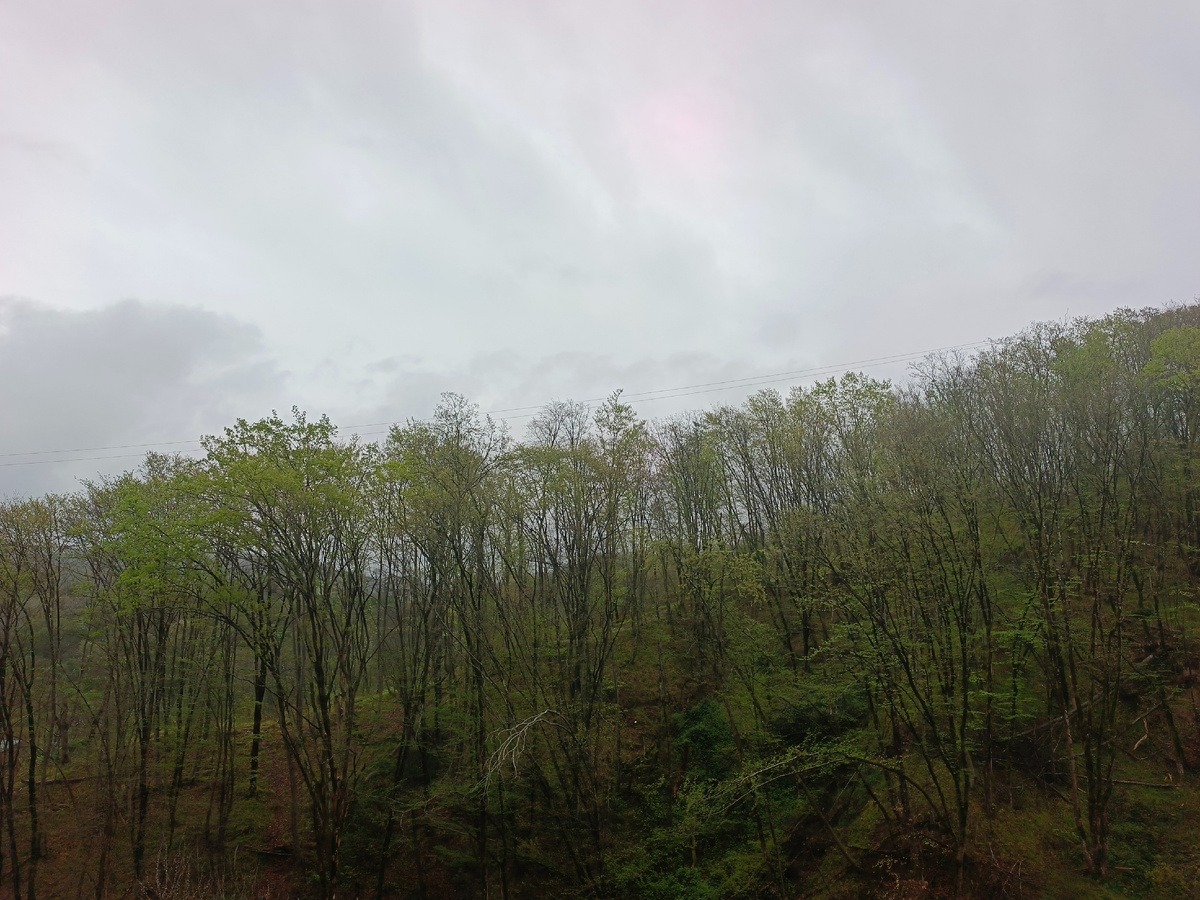 Адлер, село Орел-Изумруд, 04.04.26 г., 07.15