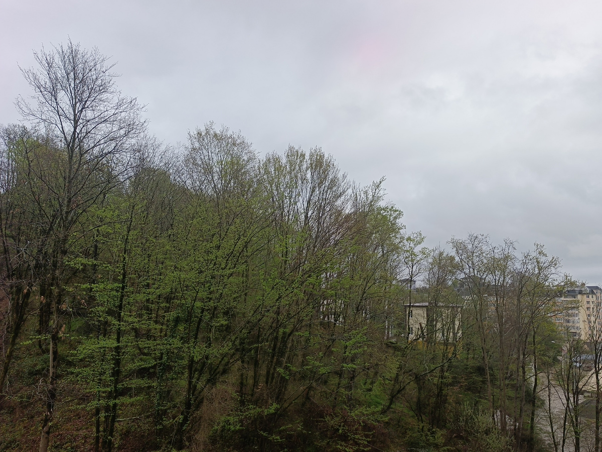 Адлер, село Орел-Изумруд, 04.04.26 г., 07.15