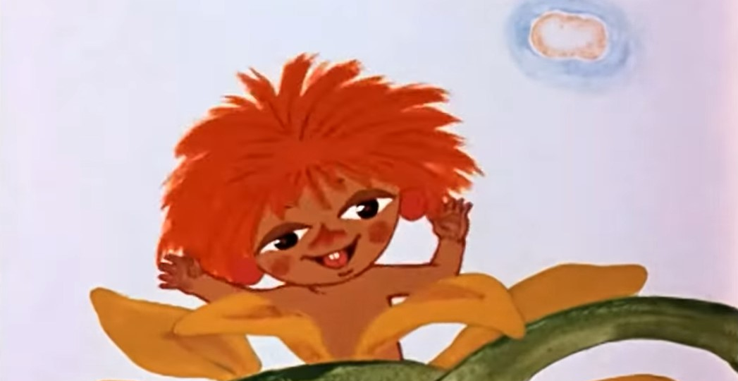 Цель доната