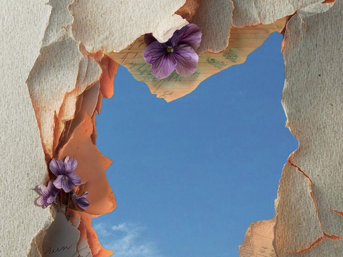    Обложка книги "Фиалки в марте" | © Фото предоставлено пресс-службой ЦСИ Винзавод