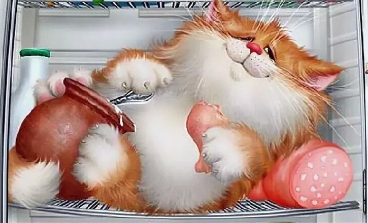 Картинка из интернета