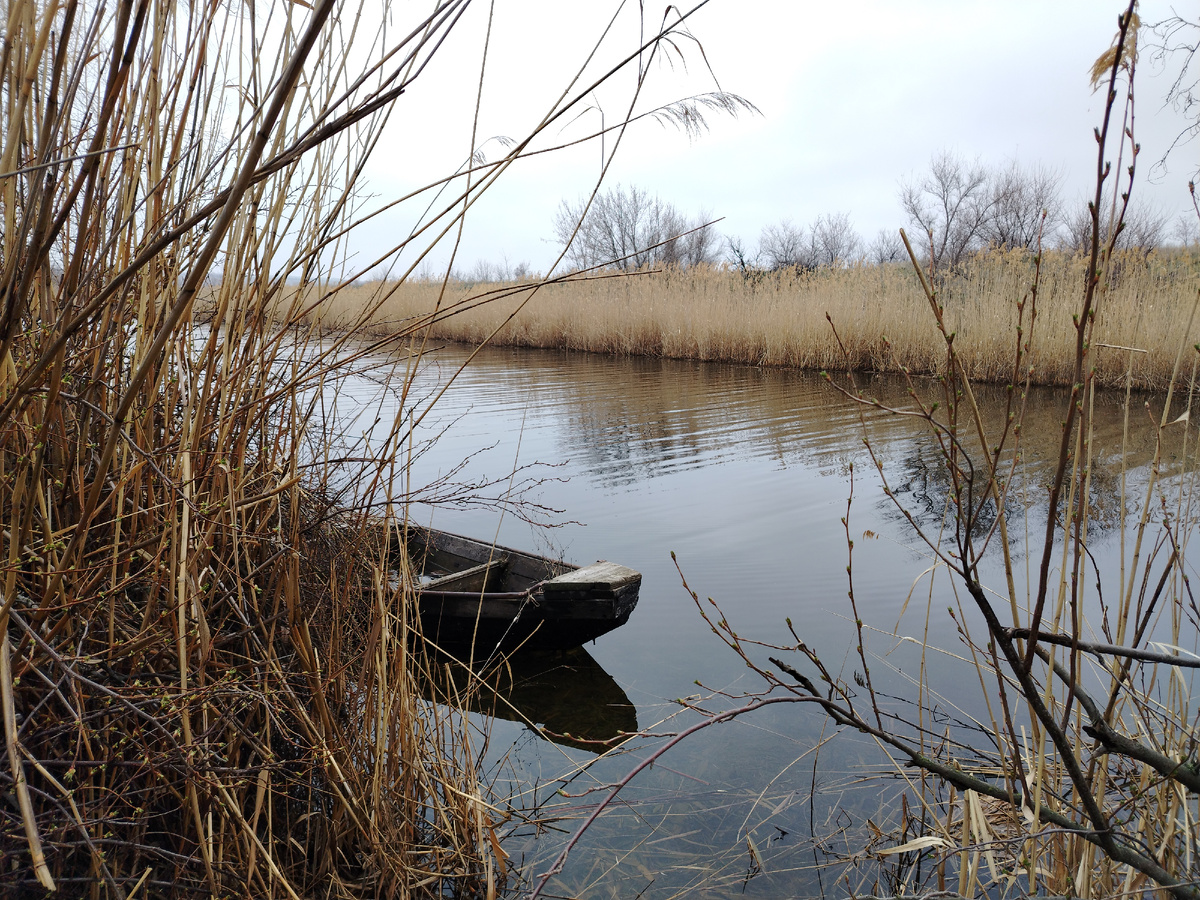 Нос бударки. Фото автора