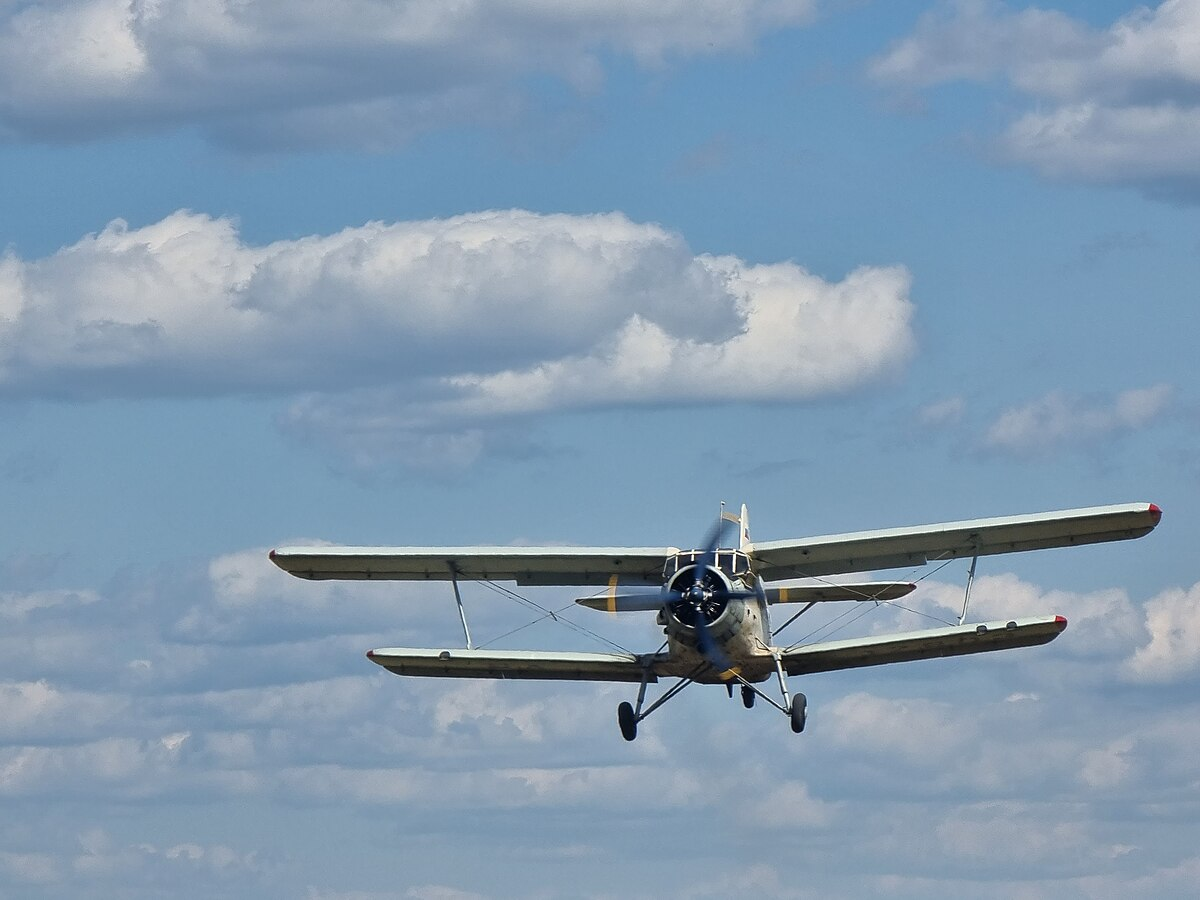 Фото из Яндекса. Спасибо автору. 