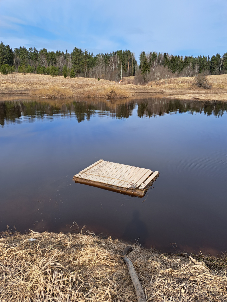 На реке. Плот.