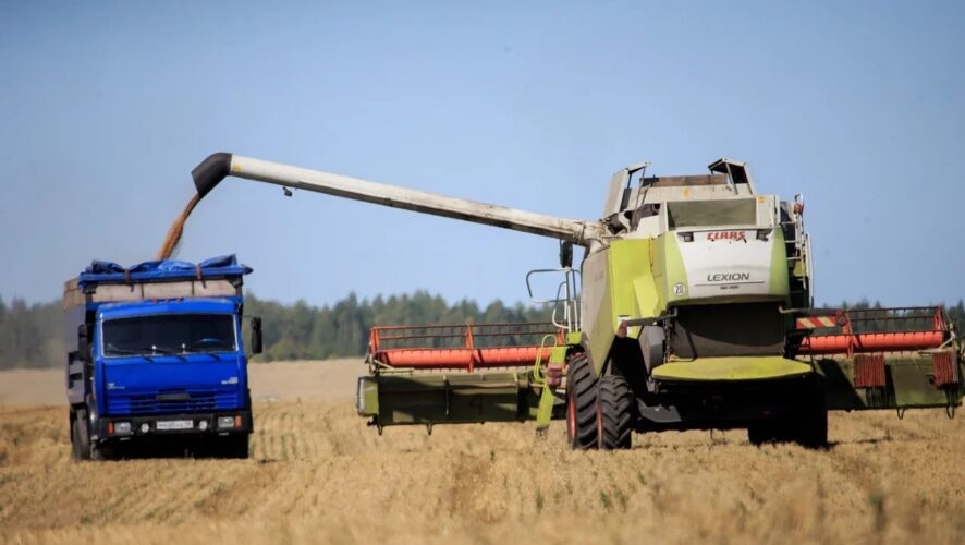    Фото mcx.pnzreg.ru