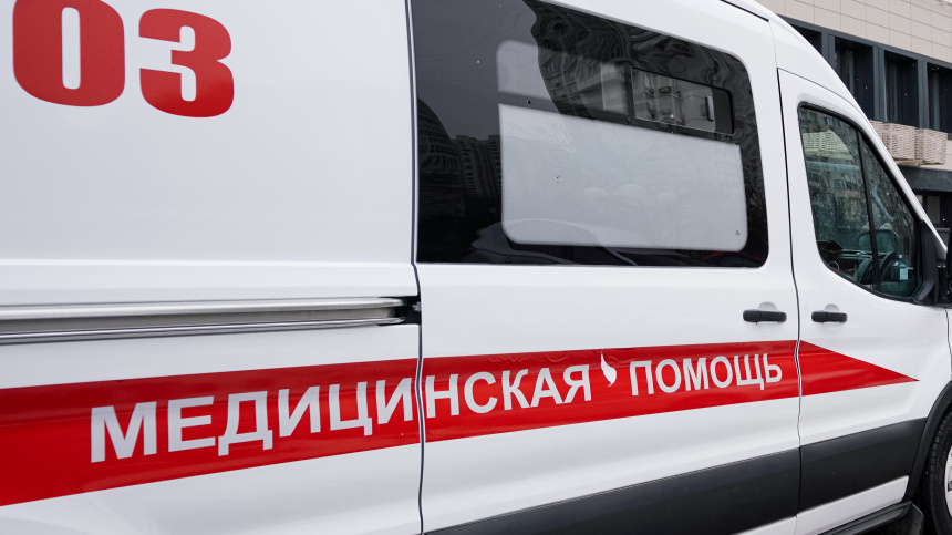    Фото: ИЗВЕСТИЯ/Анна Селина