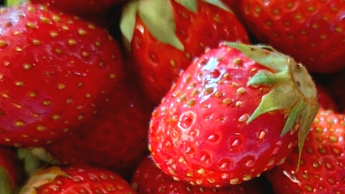 Фото автора. Первая июньская клубника (из архива)