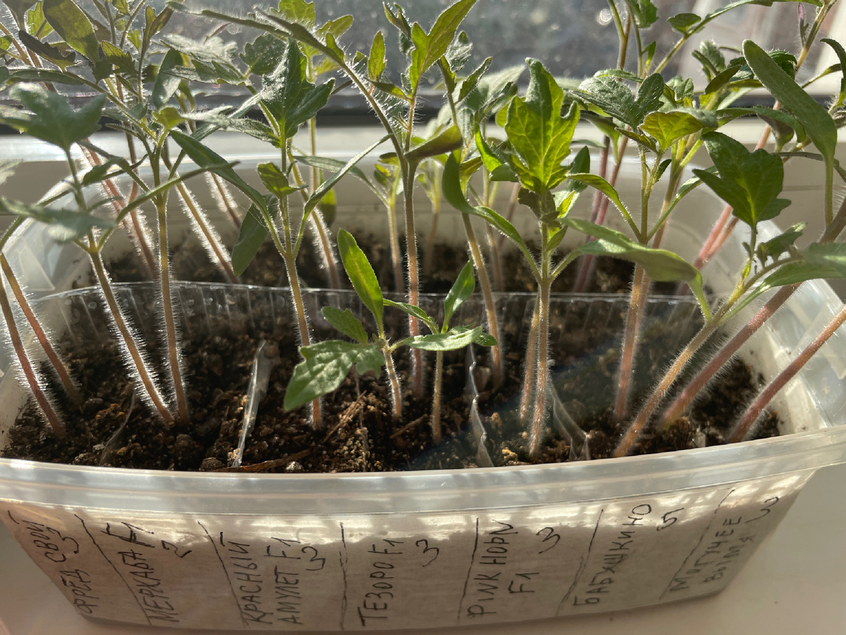 Фото автора 04.04.2026