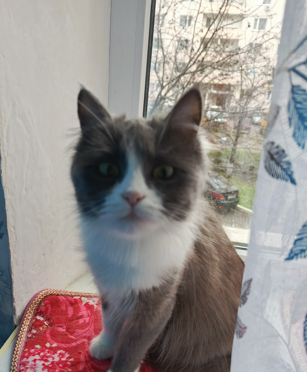 Фото автора