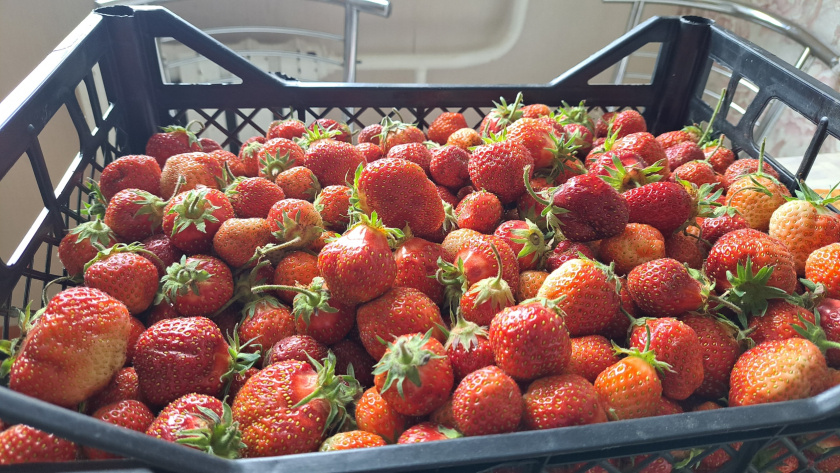    Фото: ПроГород