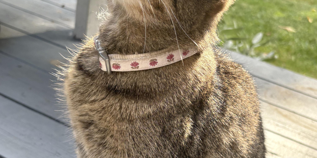 Рак языка 4ой степени и Я. Часть 335. Ждем приема. Весна в разгаре. Рутина.