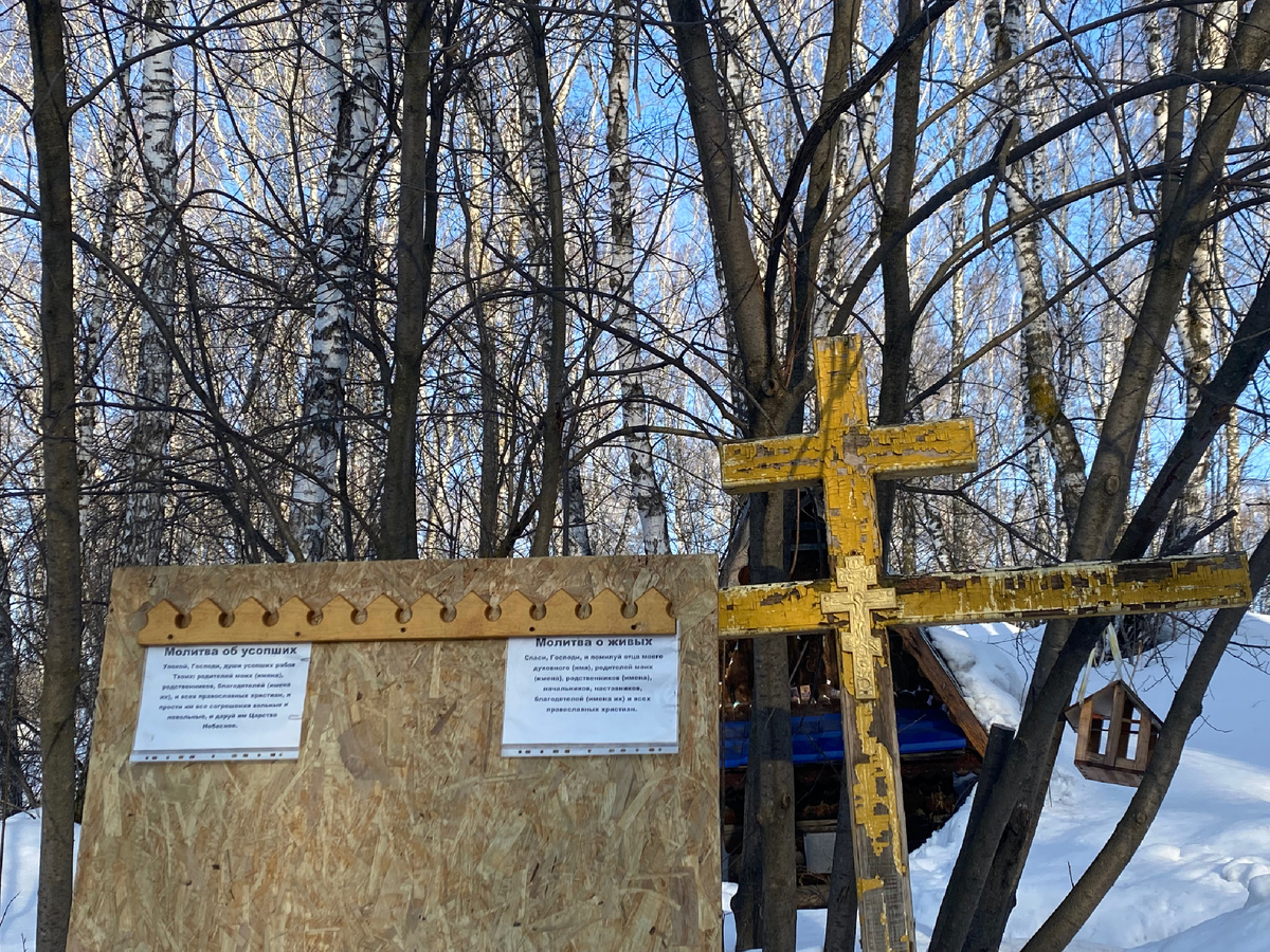 В Сибири нет пальмовых веток, Пасху мы вербой встречаем … 