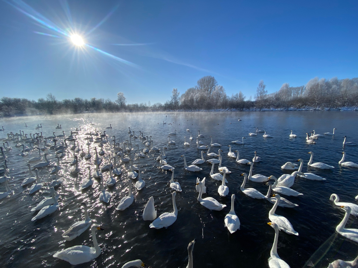 Воскреси души погибших, защити сердца живых 