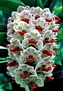 Яндекс Открытый источник 