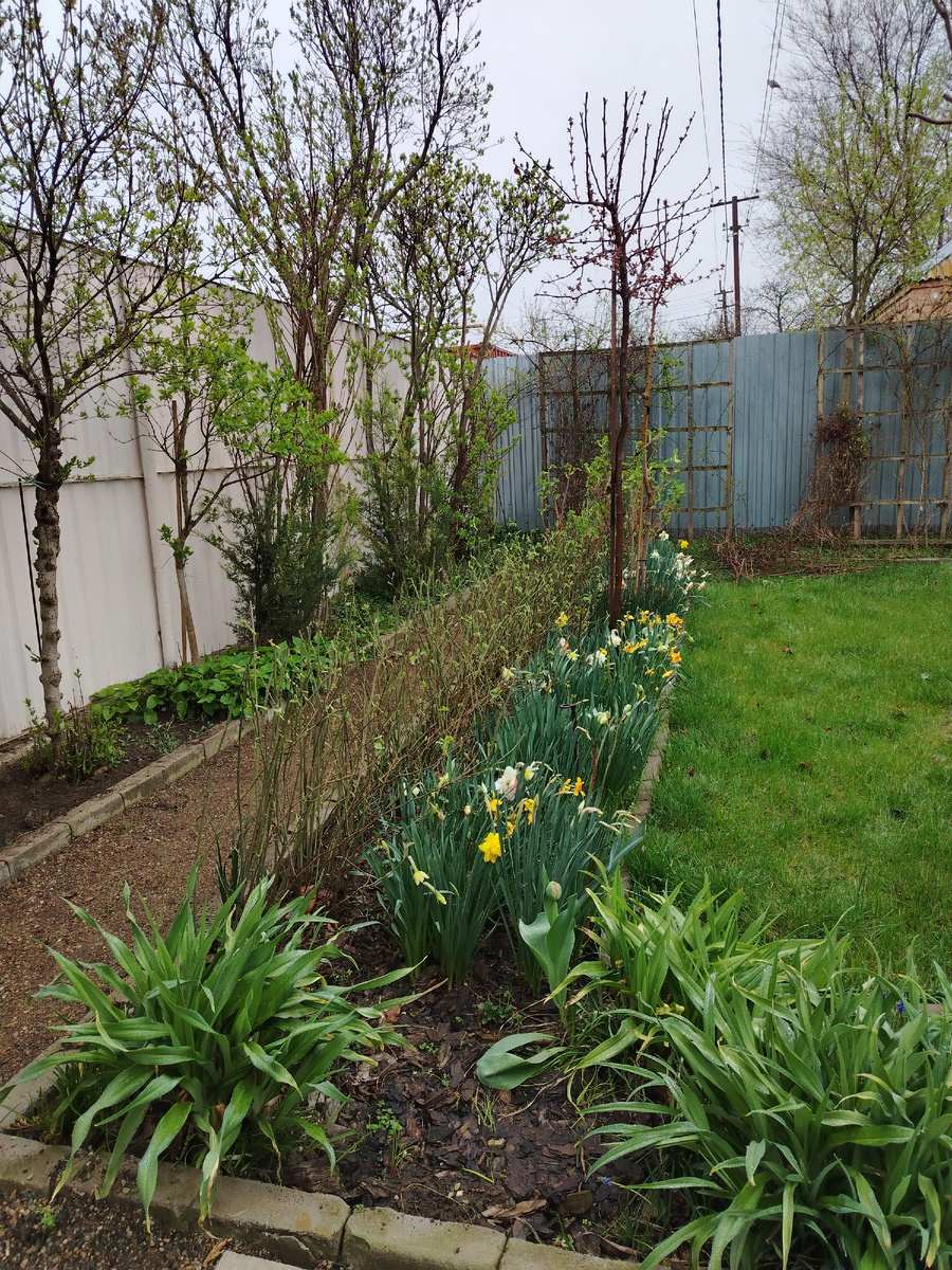 Газон настоятельно требует стрижки и граблей. Придётся подождать товарищу.