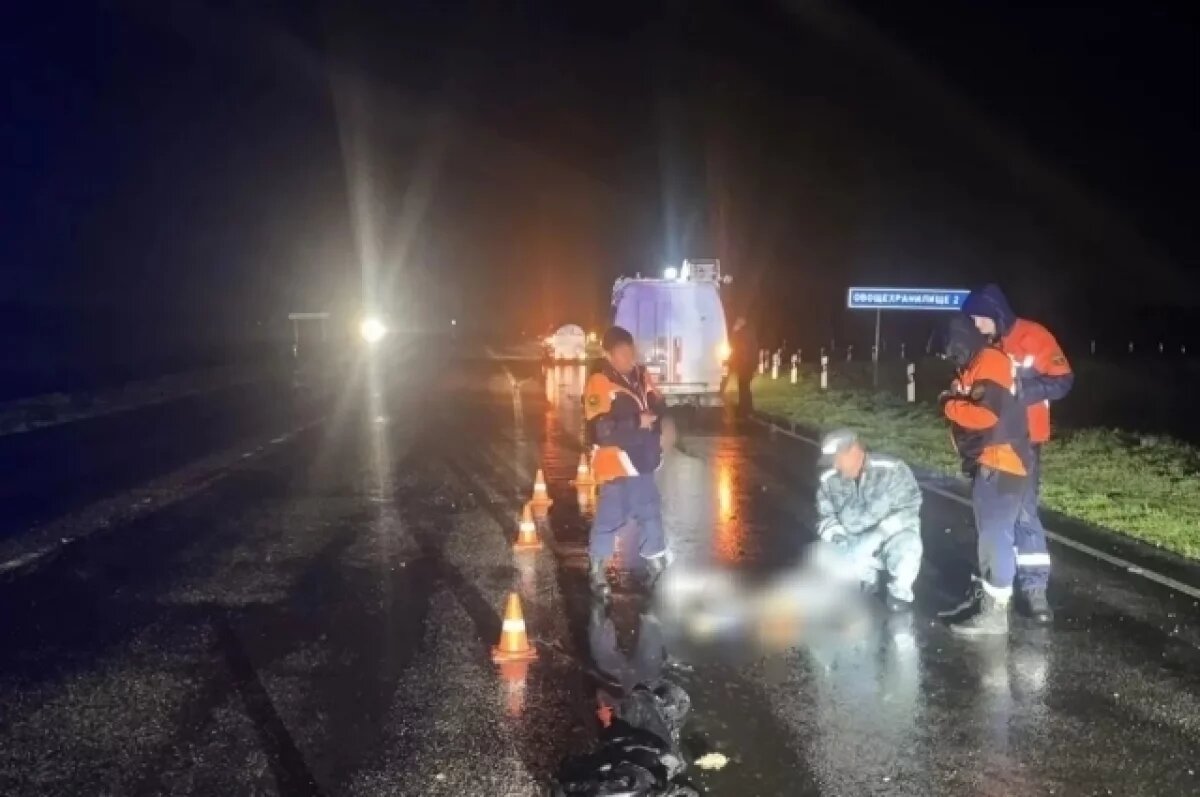    На Ставрополье грузовик насмерть сбил шедшего по дороге пешехода