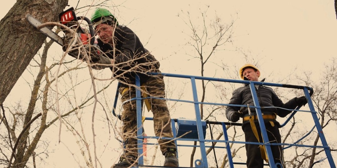Чем занимаются воронежские арбористы и почему им платят по 30 тыс рублей в день
