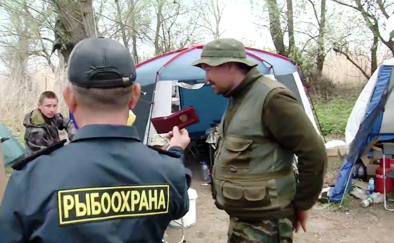 Досмотр и протокол