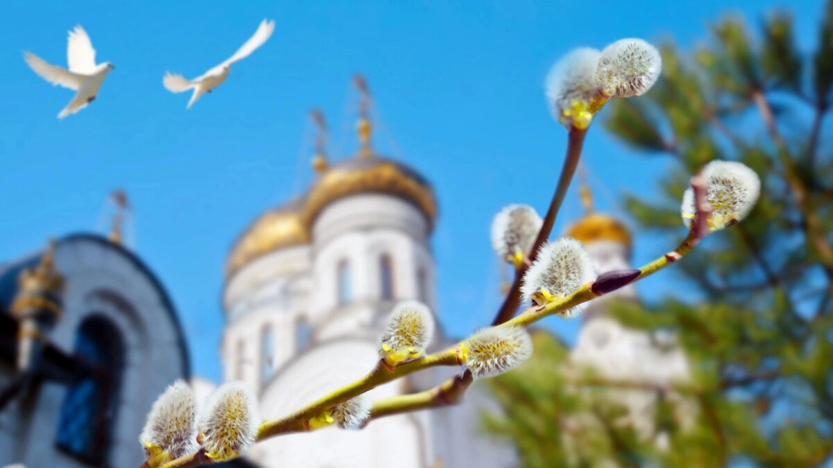    Фото: Tatiana Belova / Shutterstock / Fotodom