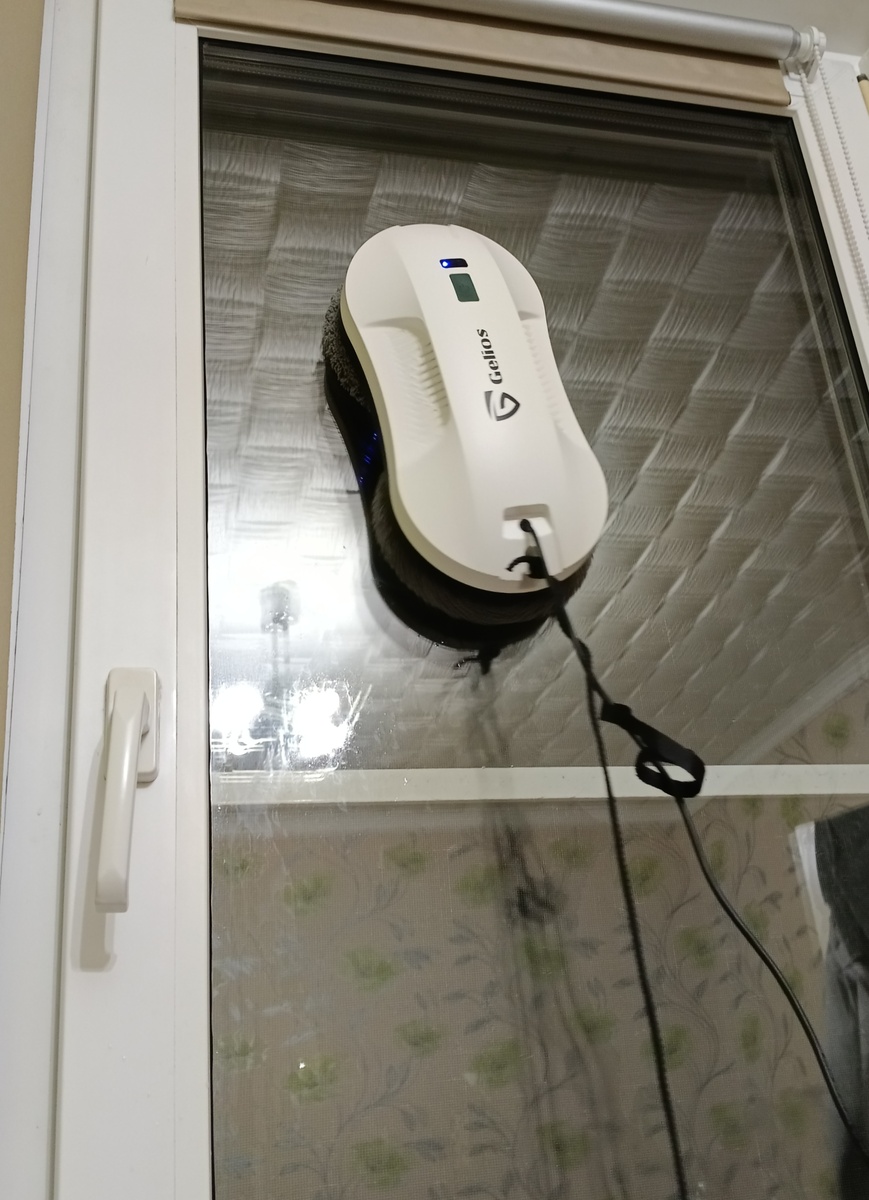 Новый член семьи 😸