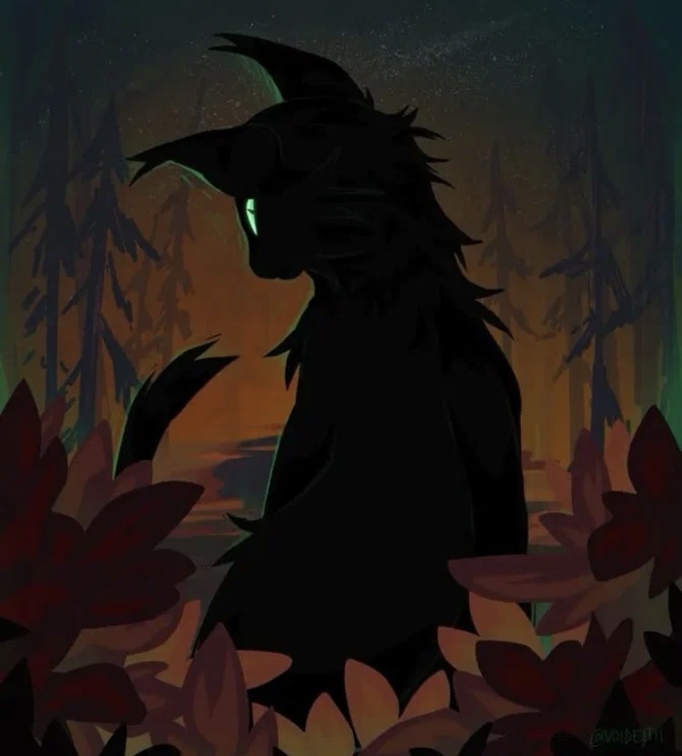 Остролистая (фото не моё)