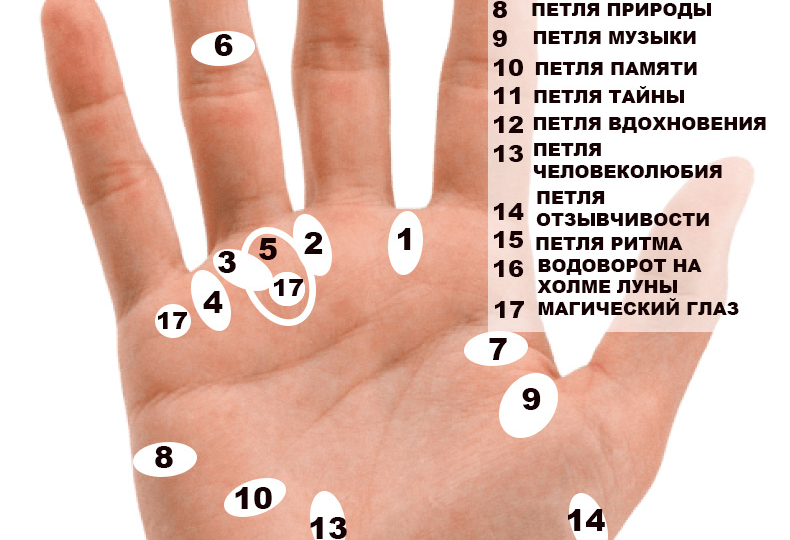 О чём расскажут петли на ладони.