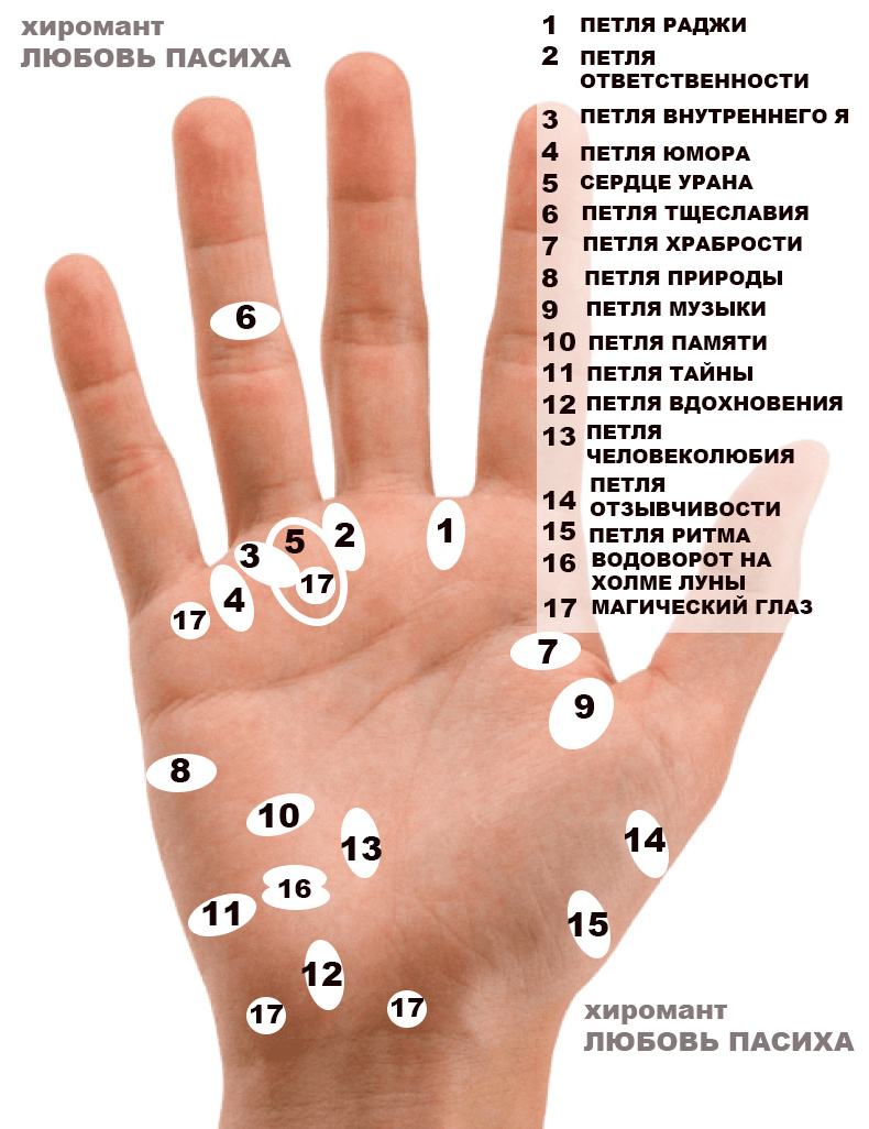 Сводная схема ладонных папиллярных узоров . https://dzen.ru/a/ZtvHE-ROinGx_fMq Любовь Пасика