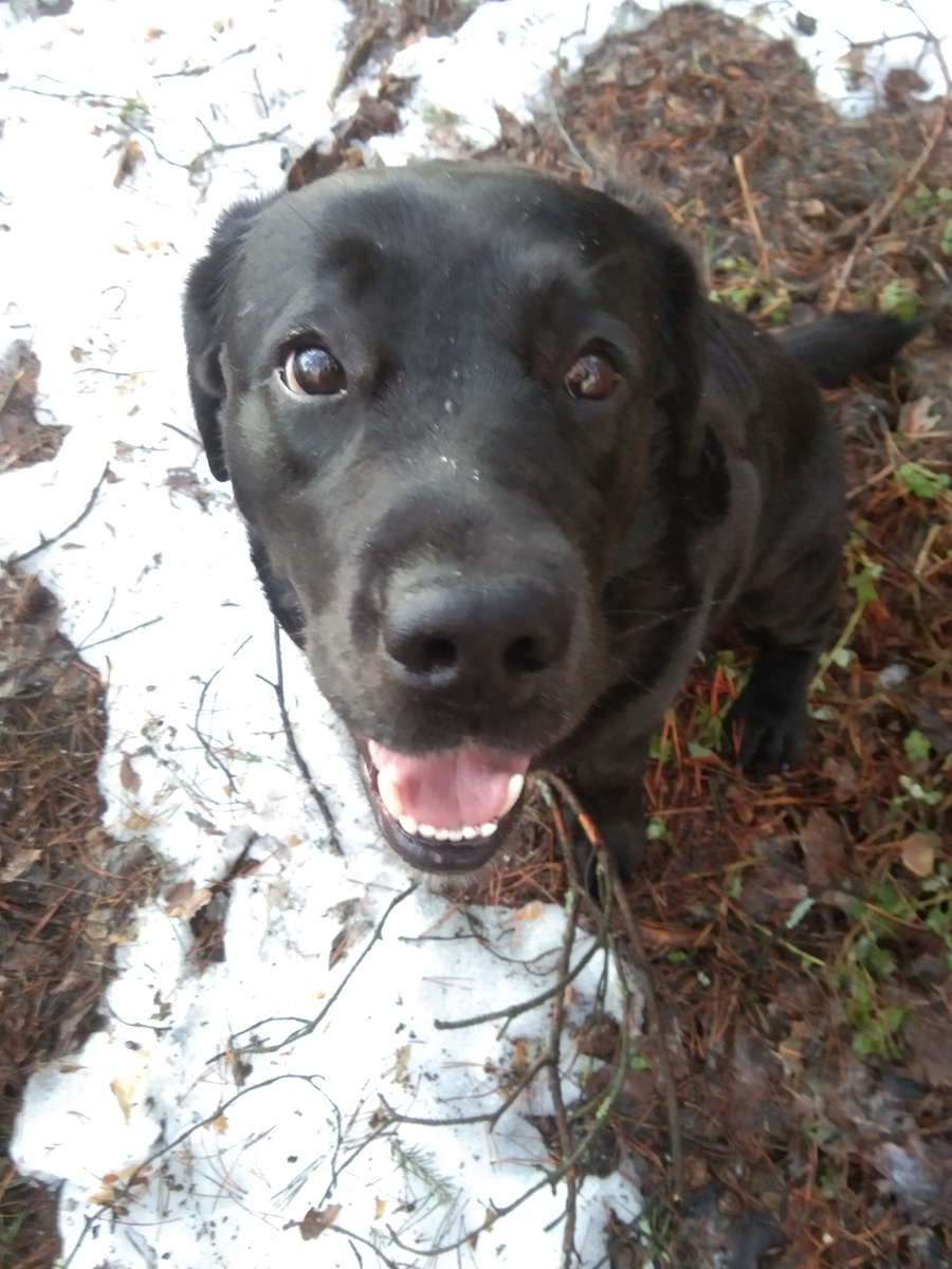 Фото автора . 