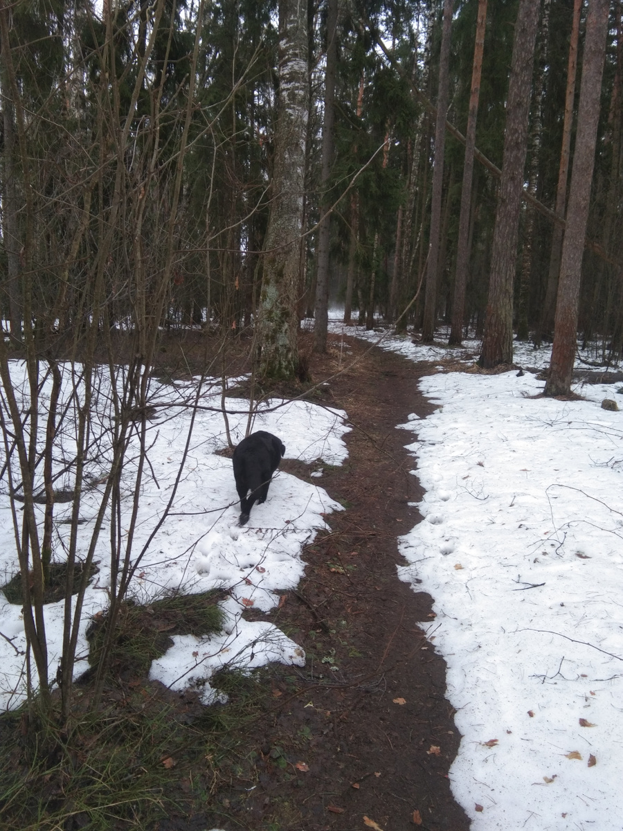 Фото автора. 