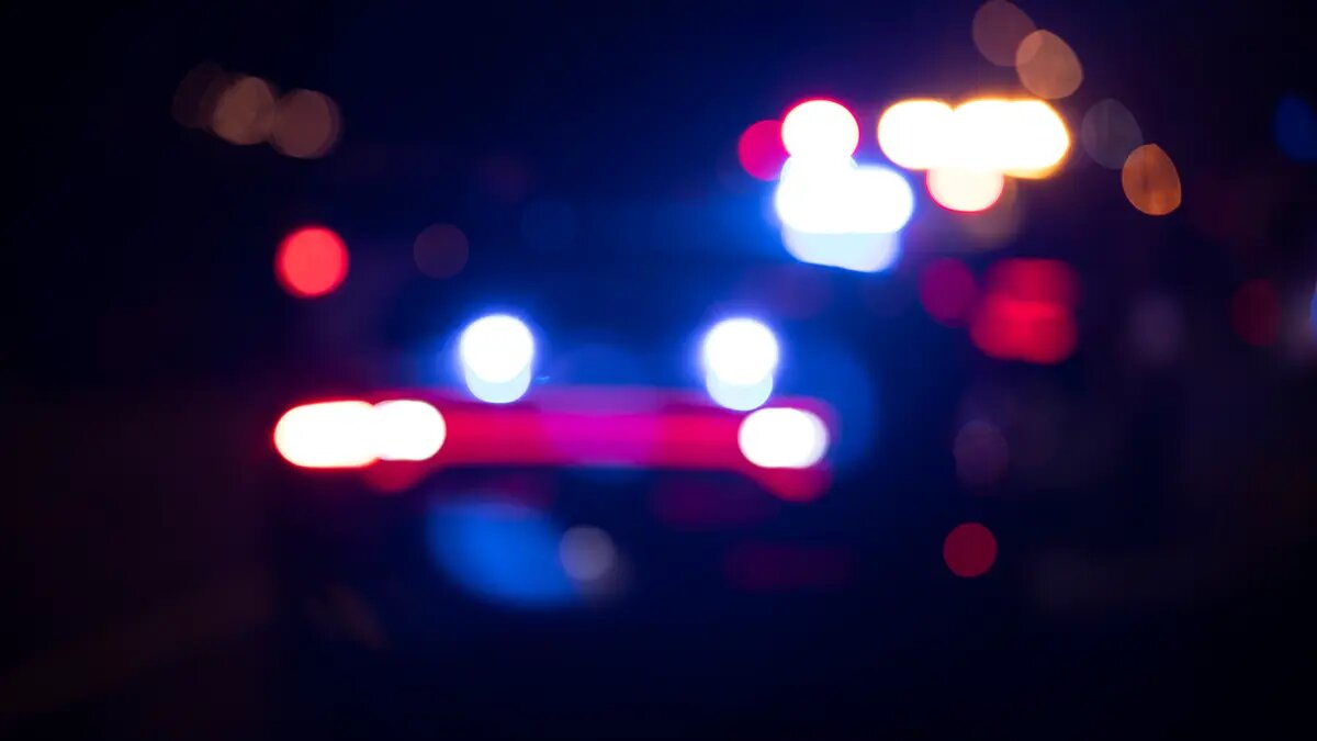    Источник: vm.ru/ Богдан Жуков