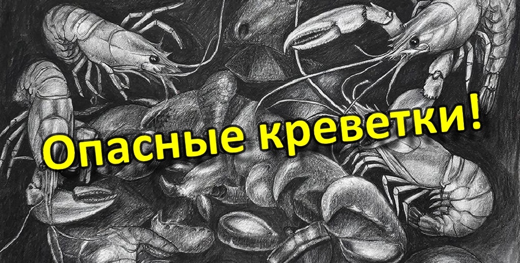Существует вирус, поражающий креветок, который способен вызывать слепоту у людей