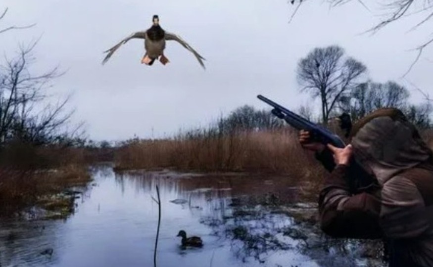 Где охотиться весной: реальные места и отзывы охотников.