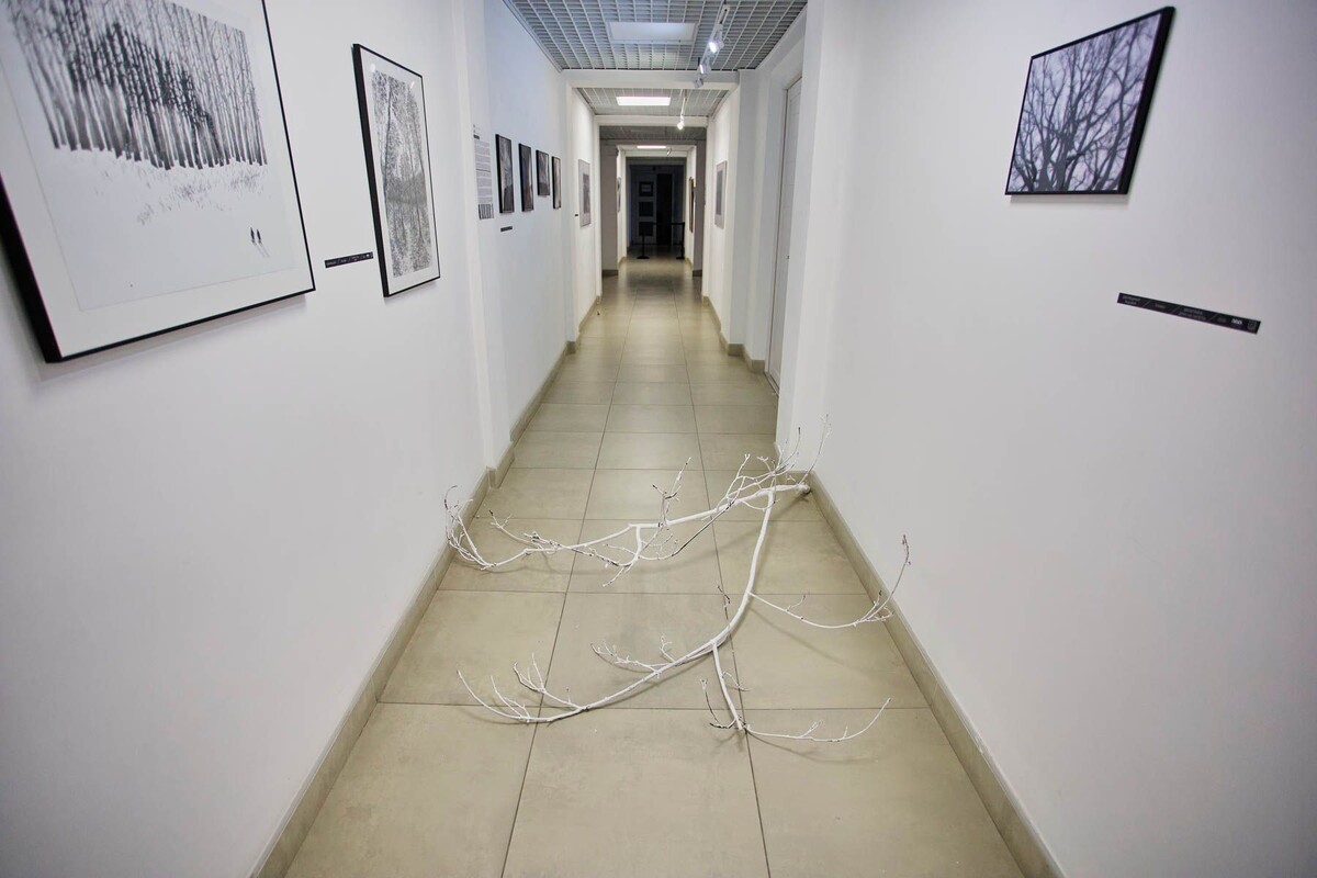  © Алексей Матюшков, Times.by