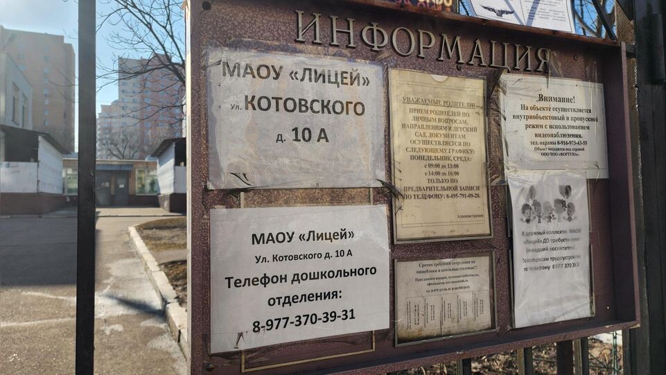    МедиаБанк Подмосковья/Мария Овчинникова