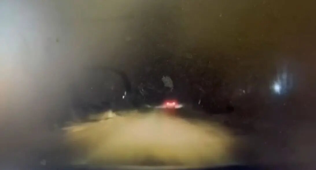    Фото: кадр видео ГУ МВД по Петербургу и Ленобласти