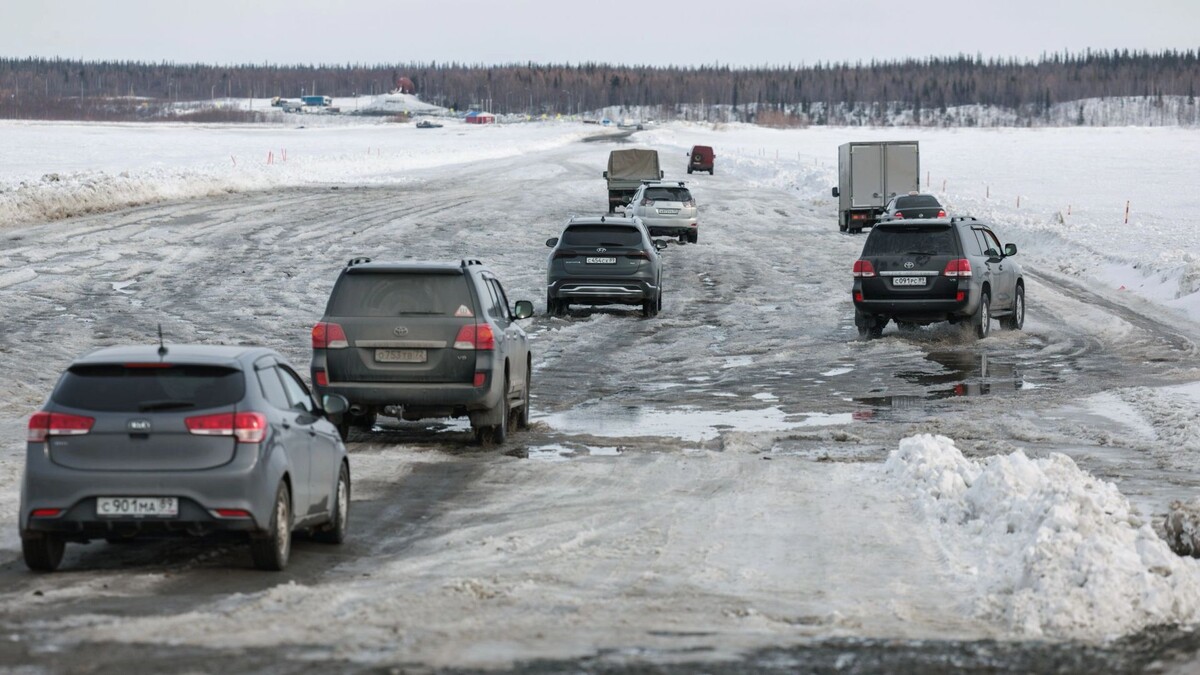    Фото: Юлия Чудинова/«Ямал-Медиа»