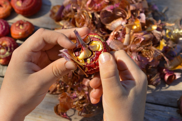 Фото: shutterstock.com / Irina Starikova1811
