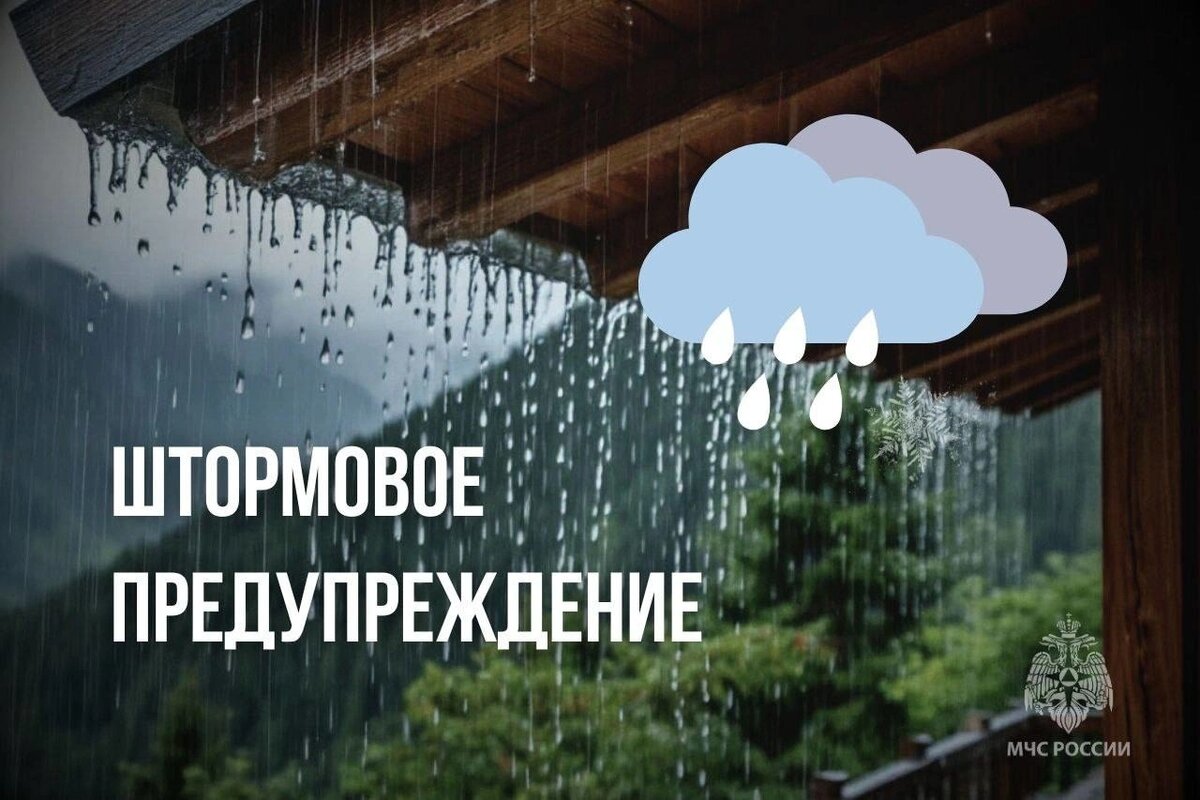    Фото: МЧС России