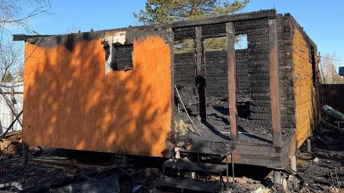    Фото: прокуратура Московской области