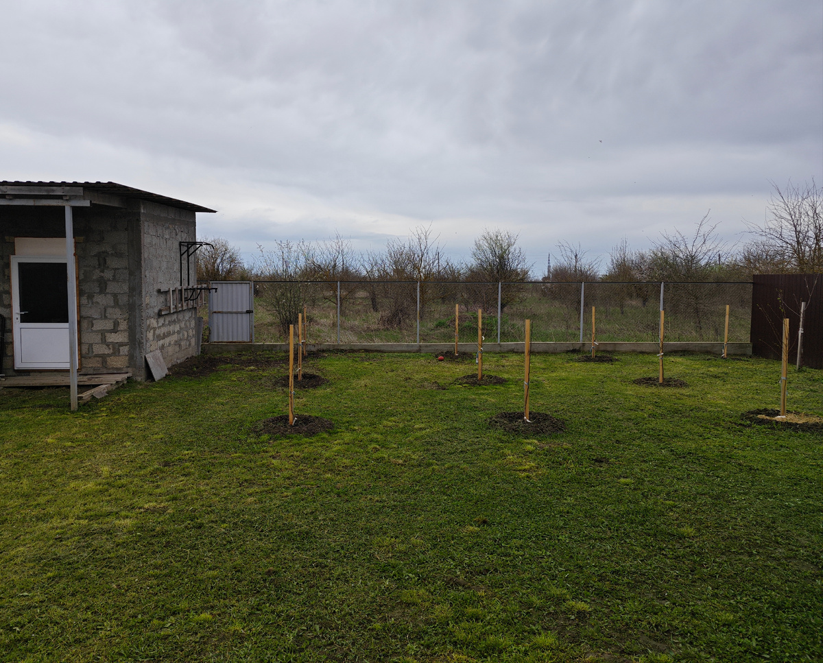 Участок после первого покоса