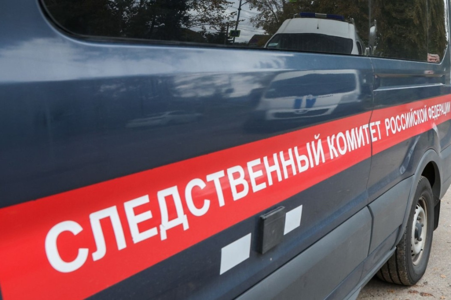    Алексей Белкин/NEWS.ru