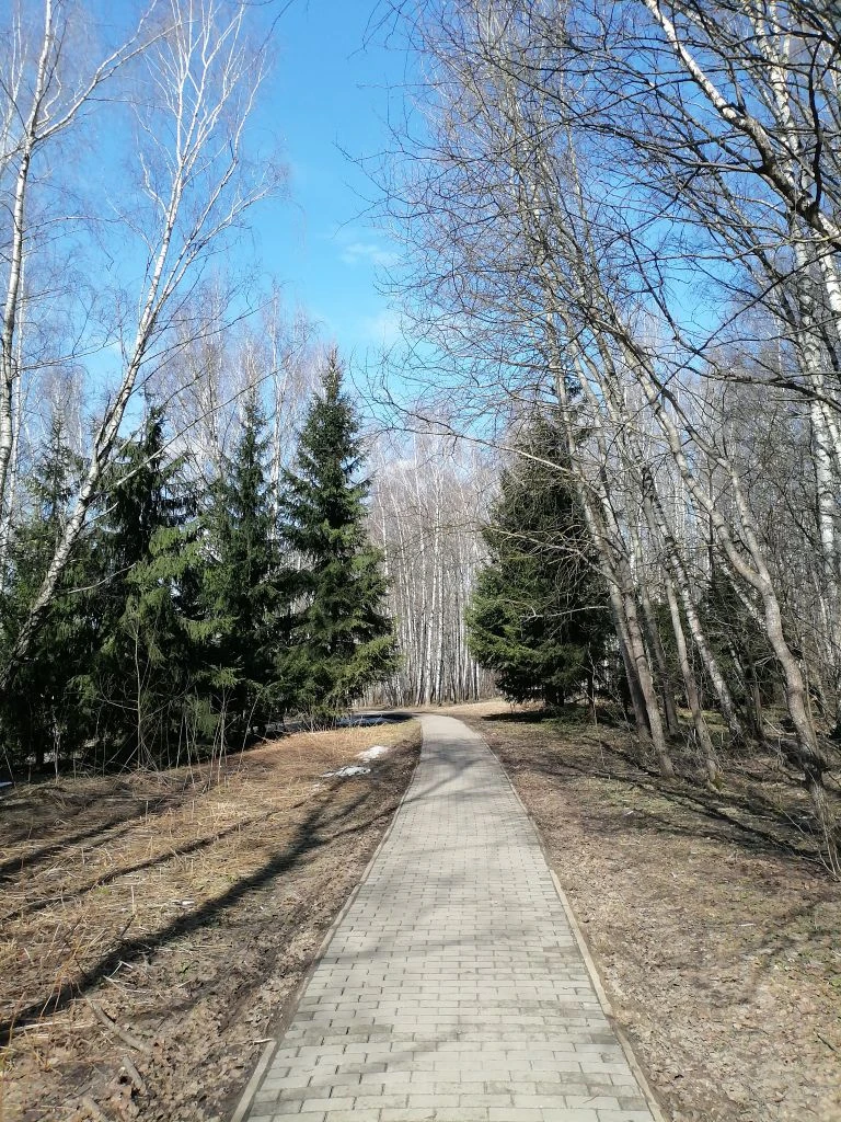 Тропаревский парк 04.04.2026