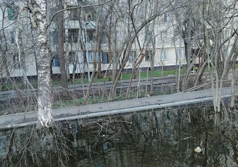 Занимаюсь домашними делами и гуляю.