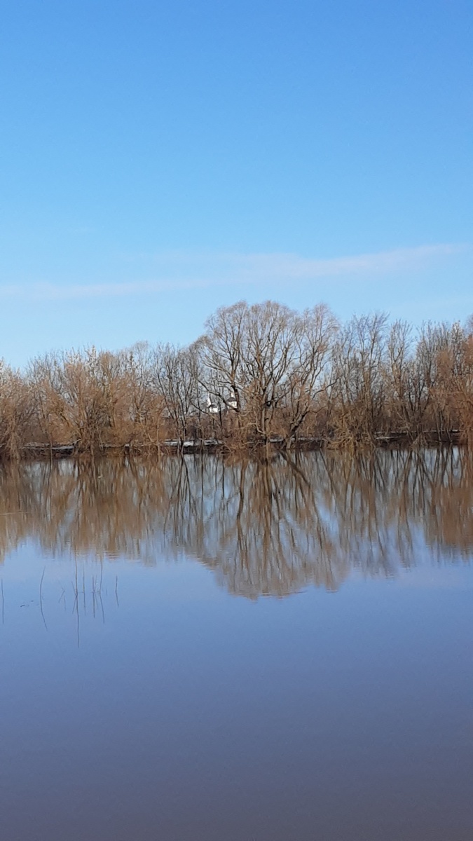 Москва река. И вид на Богородицерождественский Бобренев монастырь.