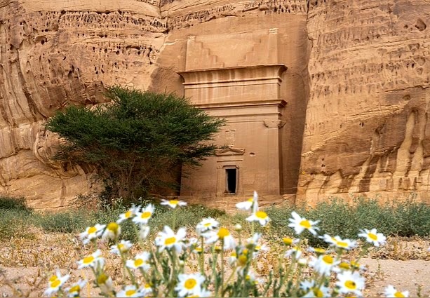 Кажется, что сам песчаник преображается под воздействием света, обнажая следы множества языков, оставленные временем и путешественниками.