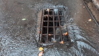    фото: Лера Тарханова Людмила Лата