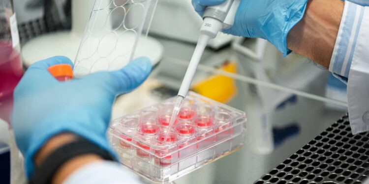    МЕДИАДОМ СИРИУС