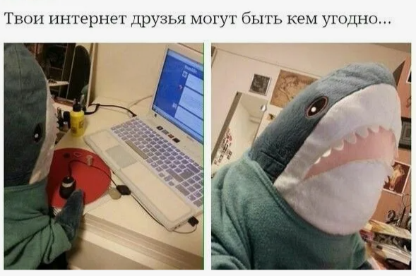 В Международный день Интернета Следком Карелии напомнил о таящихся там опасностях