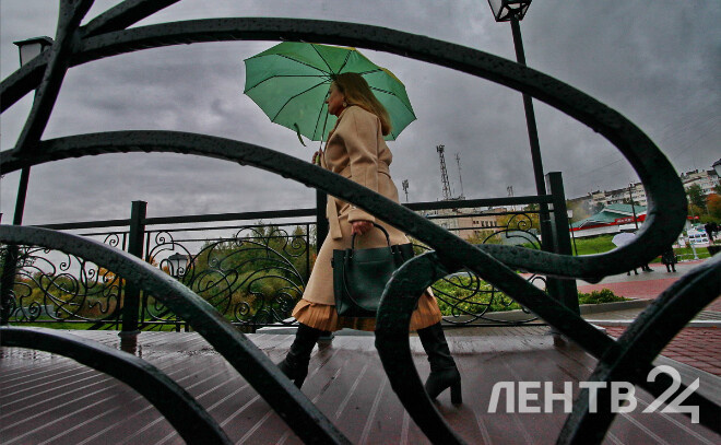    © Анастасия Илюшина / ЛенТВ24. Архивное фото